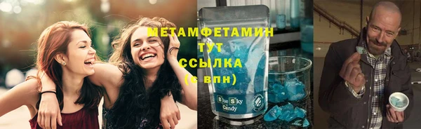 хмурый Белокуриха
