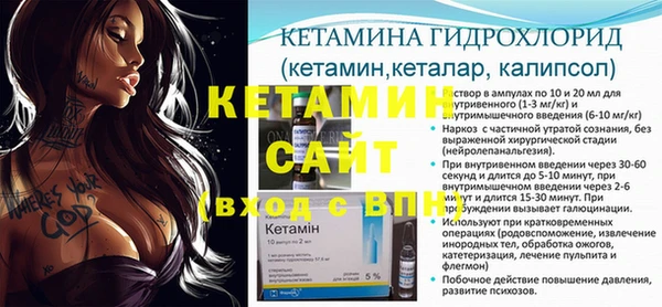 хмурый Белокуриха