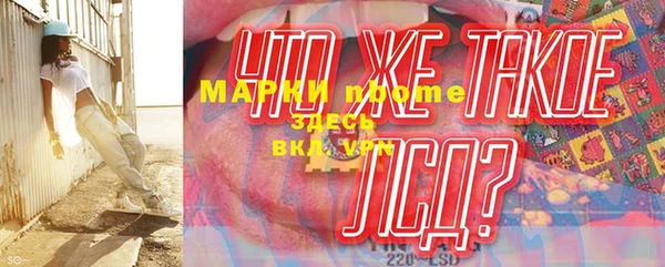 хмурый Белокуриха