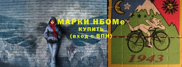 хмурый Белокуриха
