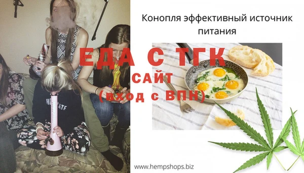 хмурый Белокуриха